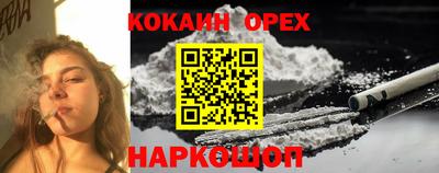ПСИЛОЦИБИНОВЫЕ ГРИБЫ Ливны