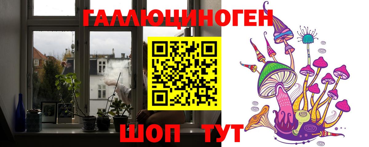 Каменка  Псилоцибиновые грибы Magic Shrooms  Вход с VPN  Псилоцибиновые грибы Psilocybe 